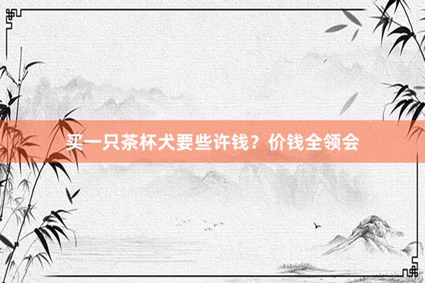 买一只茶杯犬要些许钱？价钱全领会